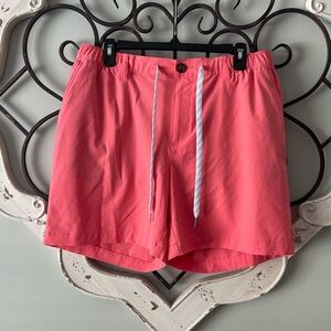 Men’s Chubbies 6” Shorts